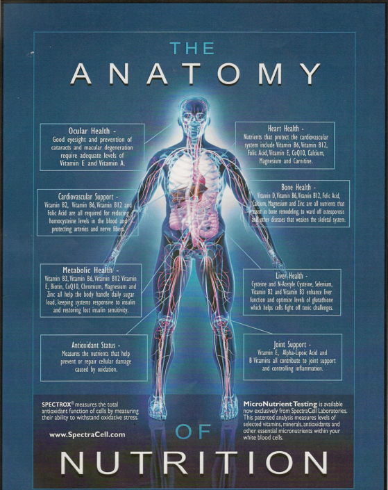 Micronutrient Testing Lab Doctor